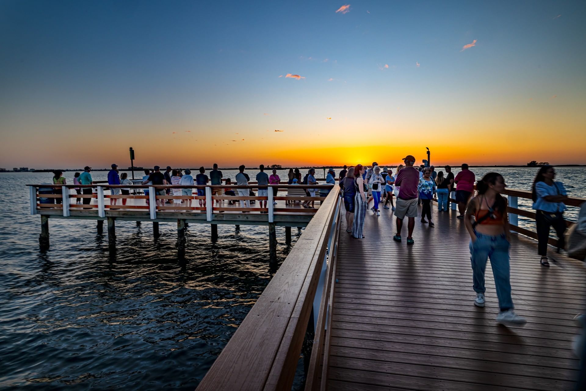 Dunedin marina at sunset