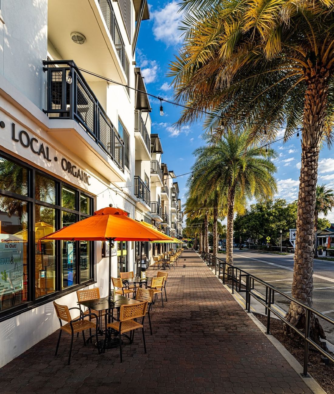 Sidewalk cafe with palm trees in downtown Dunedin